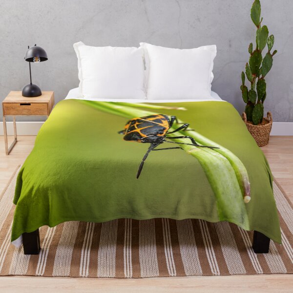 Item preview, Harlequin Bug on Green Stem designed and sold by Kimberly Palmer.