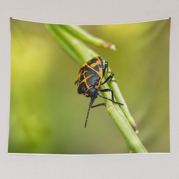 Item preview, Harlequin Bug on Green Stem designed and sold by Kimberly Palmer.