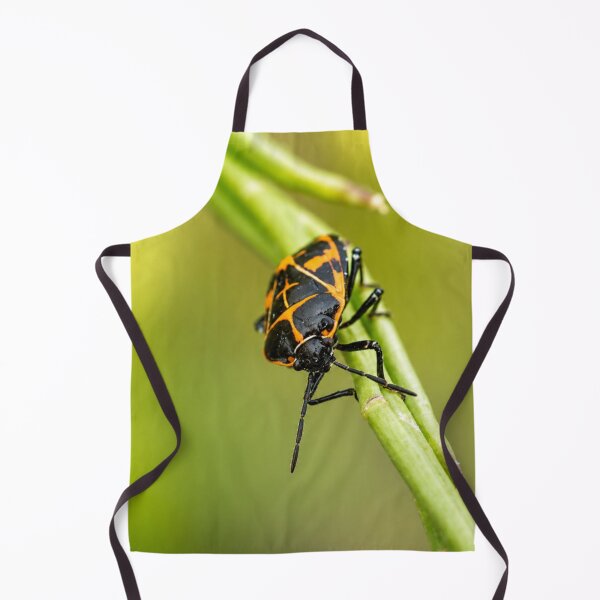 Item preview, Harlequin Bug on Green Stem designed and sold by Kimberly Palmer.