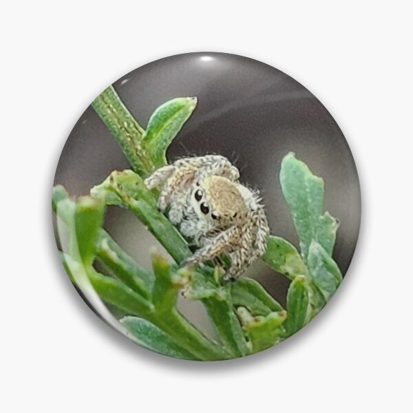 Item preview, Jumpy spider making a home designed and sold by A-Bee-444.