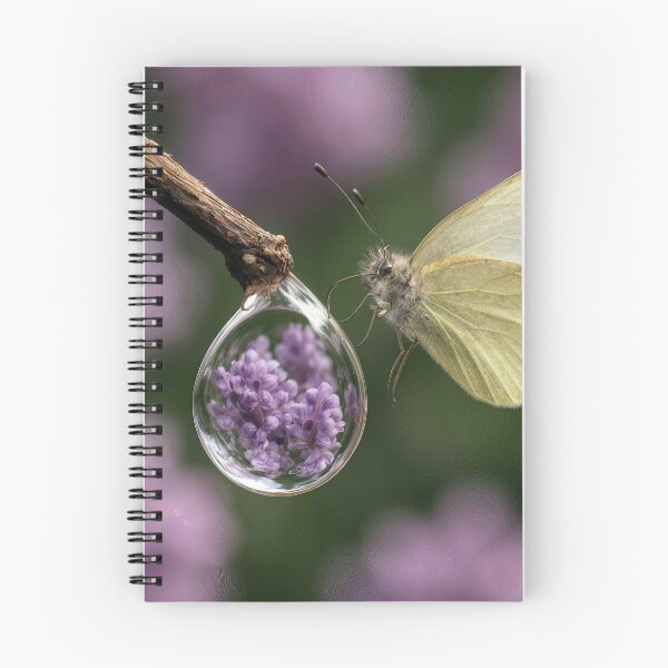 Item preview, Butterfly and Raindrop with Lilac Flower Reflection designed and sold by Maria Dryfhout.