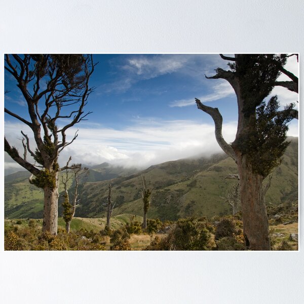Item preview, Banks Peninsula. designed and sold by Michael Treloar.
