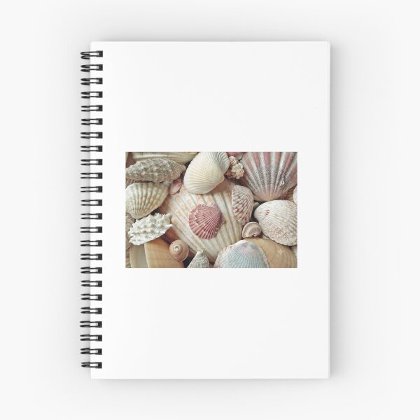 Item preview, sea shells designed and sold by Laviniaalexa1.