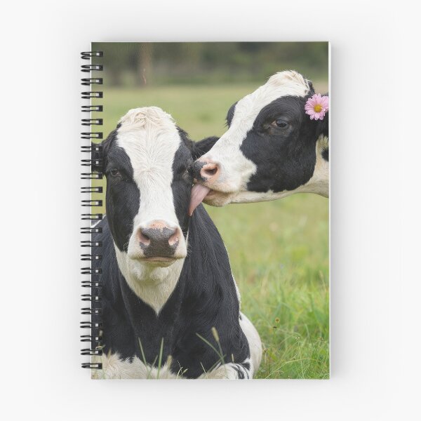 Item preview, Holstein Cow Kissing a Cow designed and sold by Maria Dryfhout.