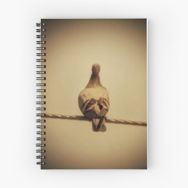 Item preview, Nature bird photo designed and sold by AWADHESH  CHAURASIA.