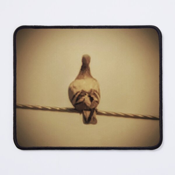 Item preview, Nature bird photo designed and sold by AWADHESH CHAURASIA.
