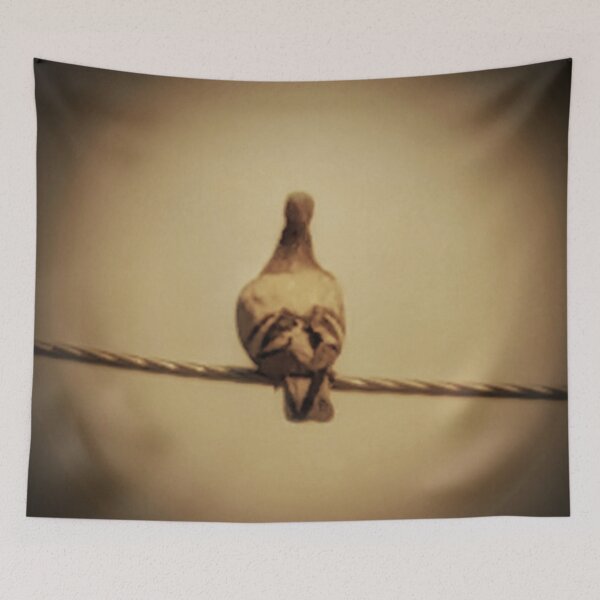 Item preview, Nature bird photo designed and sold by AWADHESH  CHAURASIA.