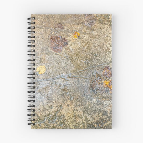 Item preview, Traces of Rain on Autumn Concrete designed and sold by MariaAbaza.