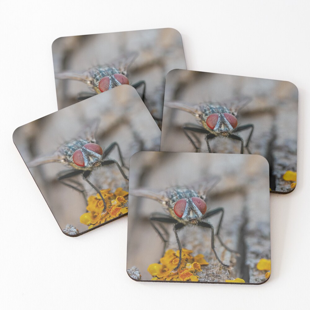 Item preview, Coasters (Set of 4) designed and sold by RalphGoldsmith.