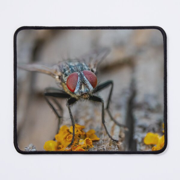 Item preview, Red Eyes designed and sold by Ralph Goldsmith.