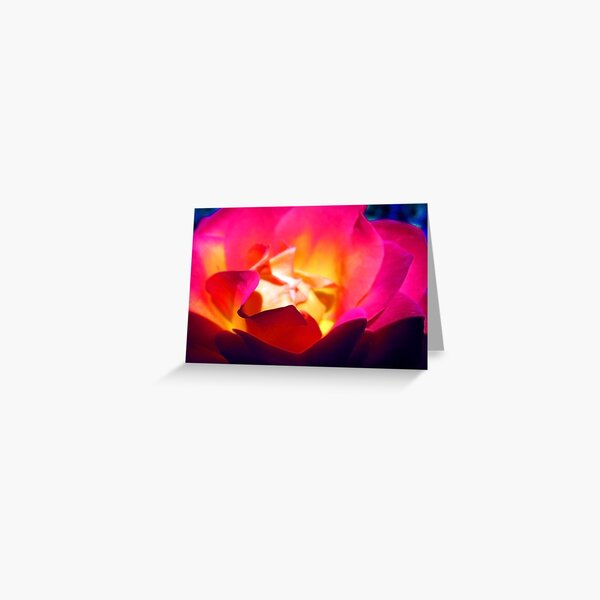 Rose 2 Greeting Card