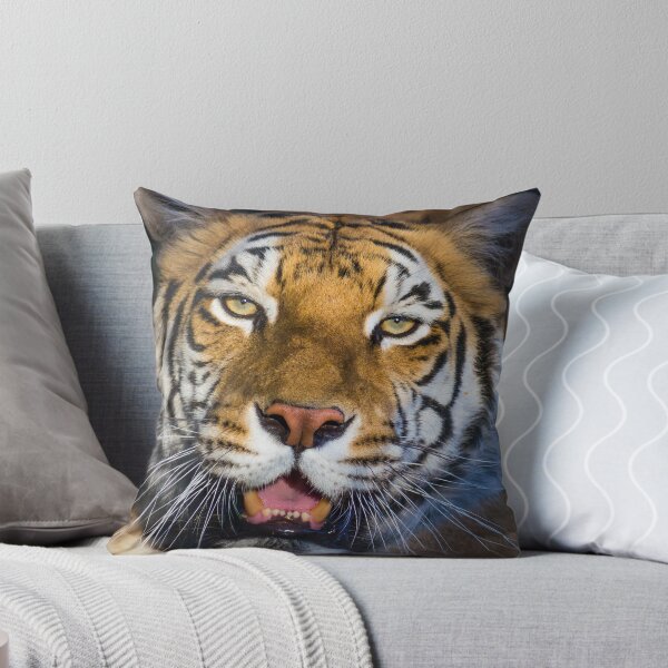 Item preview, 318 cinnamon tiger designed and sold by pcfyi.