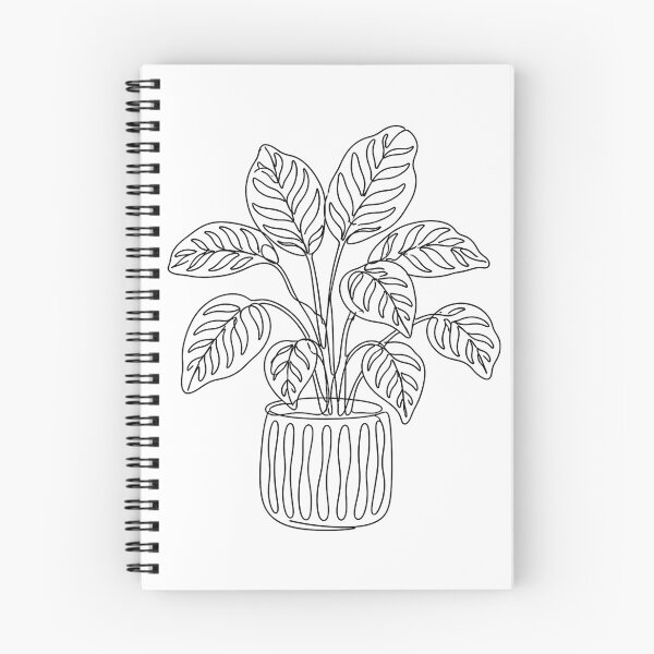 Item preview, Calathea Line Art | Minimalist Patterned Plant Print designed and sold by PLANT LOVER'S PARADISE.