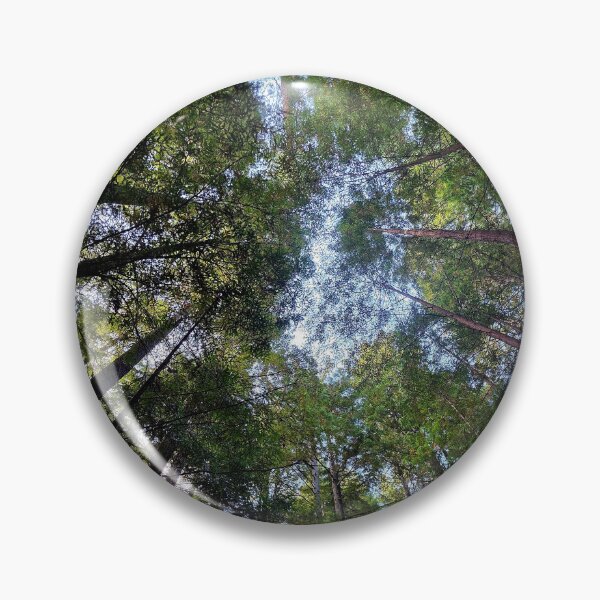 Item preview, California Redwoods designed and sold by Linda La Guardia.