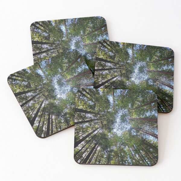 Item preview, California Redwoods designed and sold by Linda La Guardia.