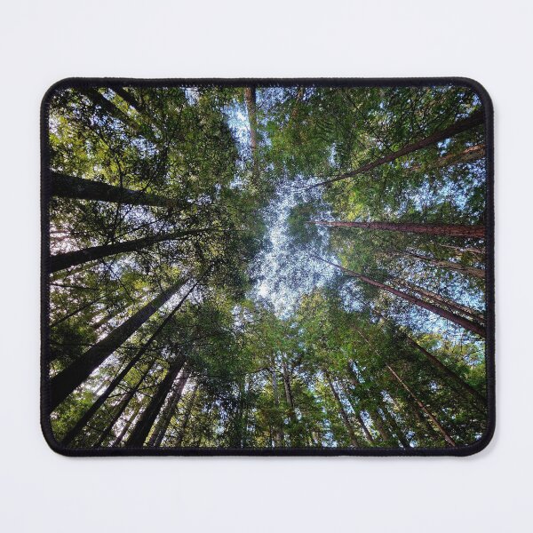 Item preview, California Redwoods designed and sold by Linda La Guardia.