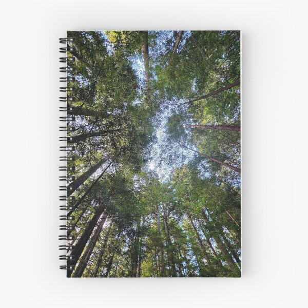 Item preview, California Redwoods designed and sold by Linda La Guardia.
