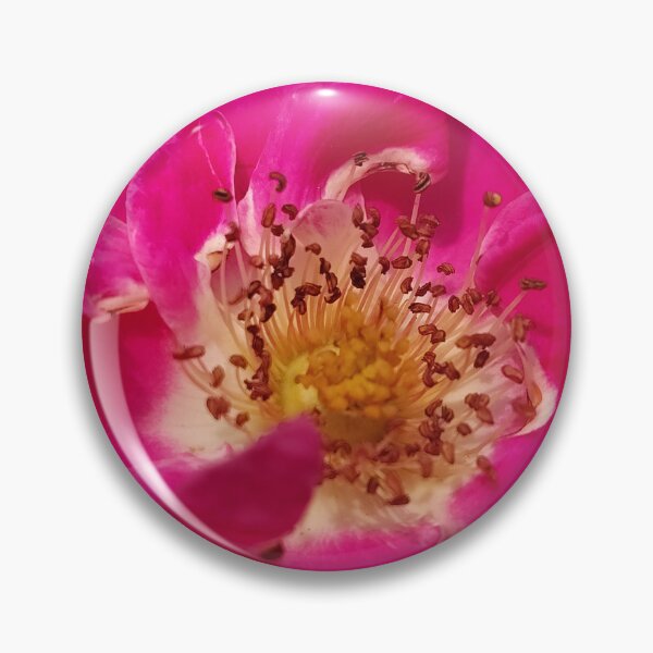 Item preview, Pink Pick-Ups designed and sold by SCTBUFFALOPHOTO.