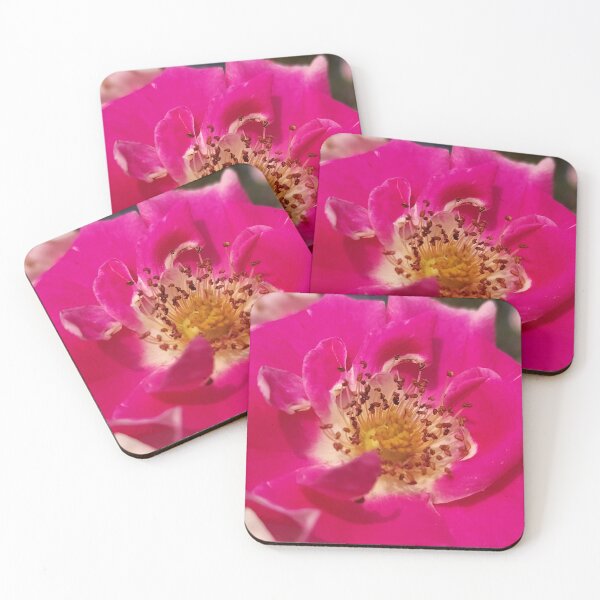 Item preview, Pink Pick-Ups designed and sold by SCTBUFFALOPHOTO.