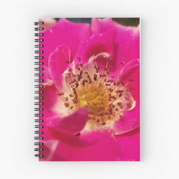 Item preview, Pink Pick-Ups designed and sold by SCTBUFFALOPHOTO.