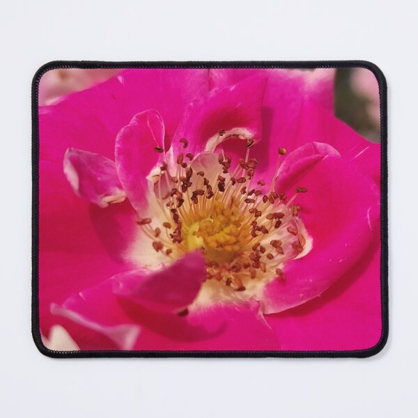 Item preview, Pink Pick-Ups designed and sold by SCTBUFFALOPHOTO.