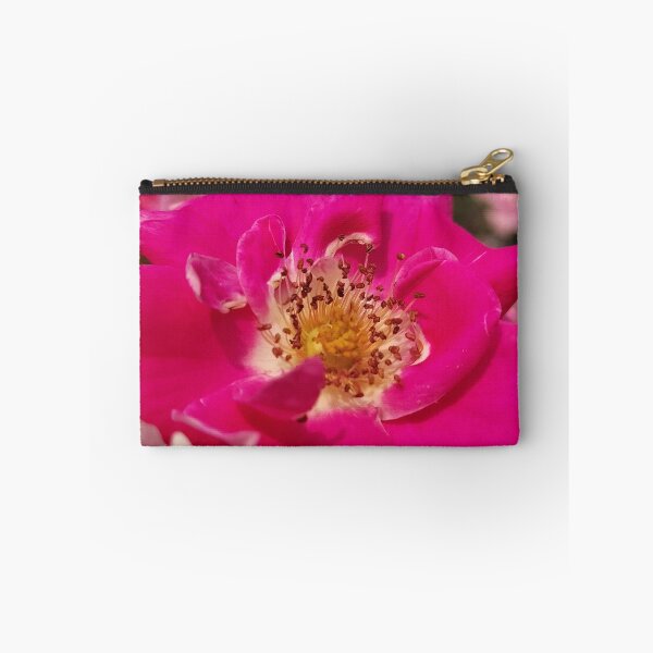 Item preview, Pink Pick-Ups designed and sold by SCTBUFFALOPHOTO.
