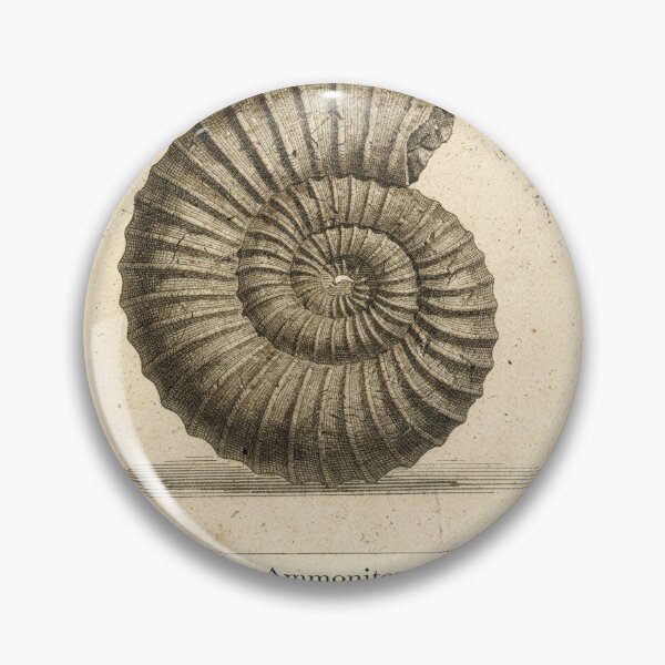 Item preview, Vintage Ammonite Fossil Specimen Natural History Plate designed and sold by PictorialWhimsy.