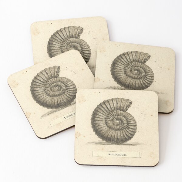 Item preview, Vintage Ammonite Fossil Specimen Natural History Plate designed and sold by PictorialWhimsy.