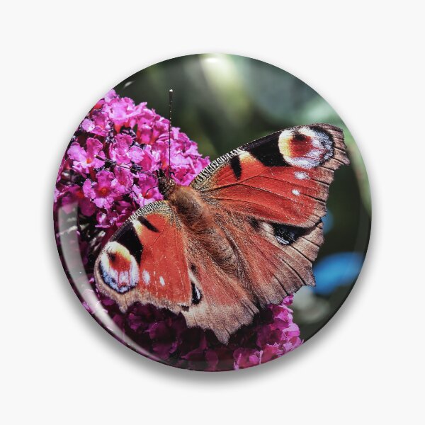 Item preview, Peacock Butterfly on Buddleja designed and sold by Tom McPherson Photography.