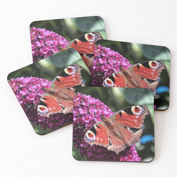 Item preview, Peacock Butterfly on Buddleja designed and sold by Tom McPherson Photography.