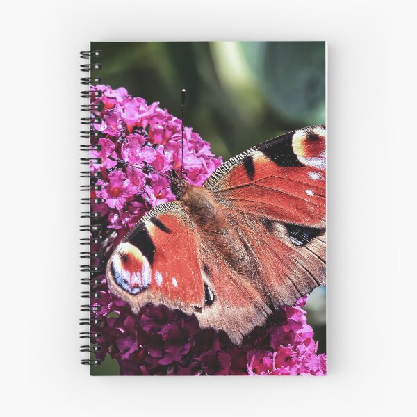 Item preview, Peacock Butterfly on Buddleja designed and sold by Tom McPherson Photography.