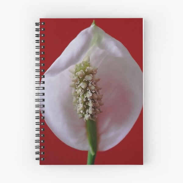 Item preview, Spathiphyllum designed and sold by Jasna Dragun.