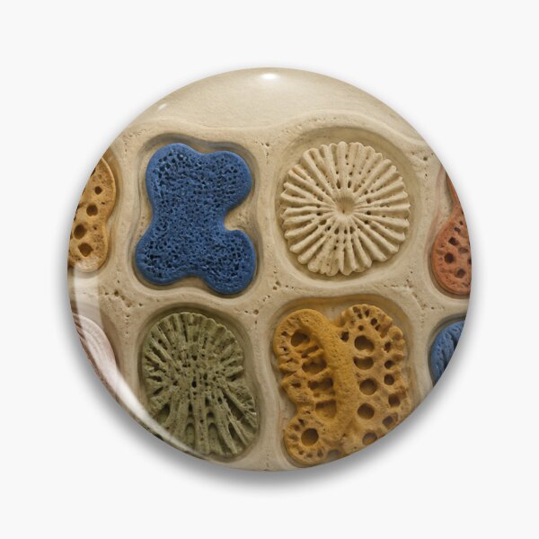 Item preview, Sponge Fossil Cabinet designed and sold by GraphycoPublish.