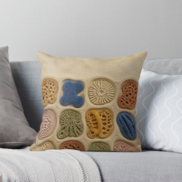 Item preview, Sponge Fossil Cabinet designed and sold by GraphycoPublish.