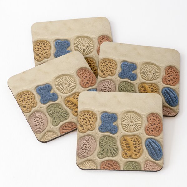 Item preview, Sponge Fossil Cabinet designed and sold by GraphycoPublish.