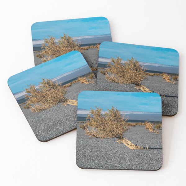 Item preview, Desert shrub Carachipampa Catamarca Argentina designed and sold by Keltoi-art.
