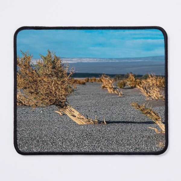 Item preview, Desert shrub Carachipampa Catamarca Argentina designed and sold by Keltoi-art.