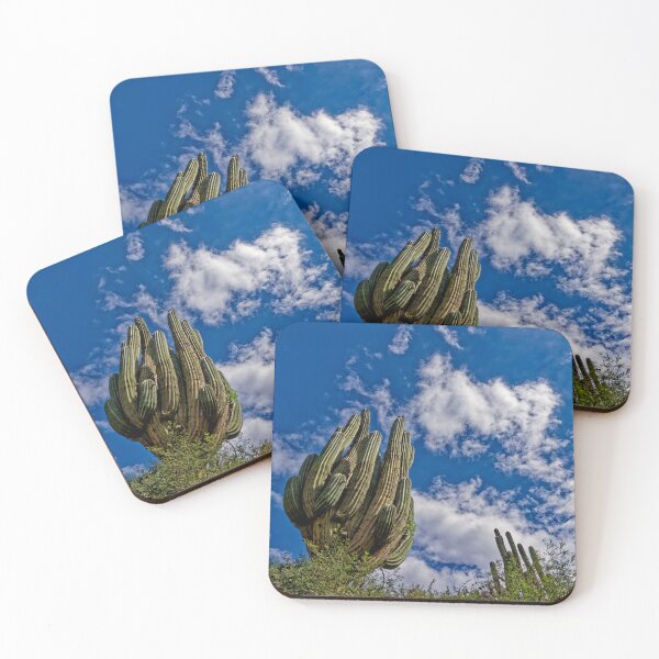 Item preview, Cardón Crestado Quebrada de Escoipe Salta designed and sold by Keltoi-art.