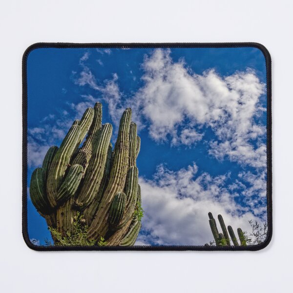 Item preview, Cardón Crestado Quebrada de Escoipe Salta designed and sold by Keltoi-art.