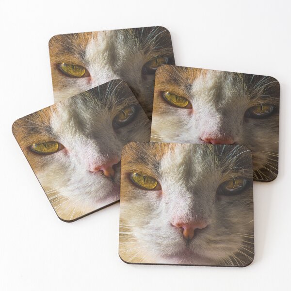 Item preview, Beautiful Cat designed and sold by MoePhotography.