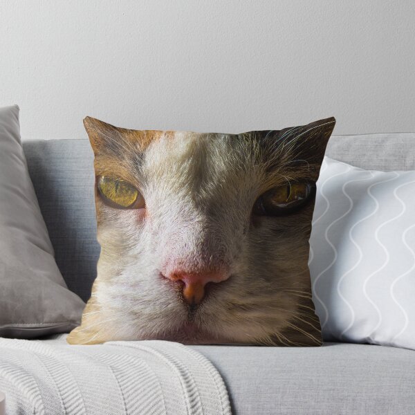 Item preview, Beautiful Cat designed and sold by MoePhotography.
