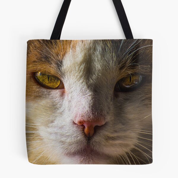 Item preview, Beautiful Cat designed and sold by MoePhotography.