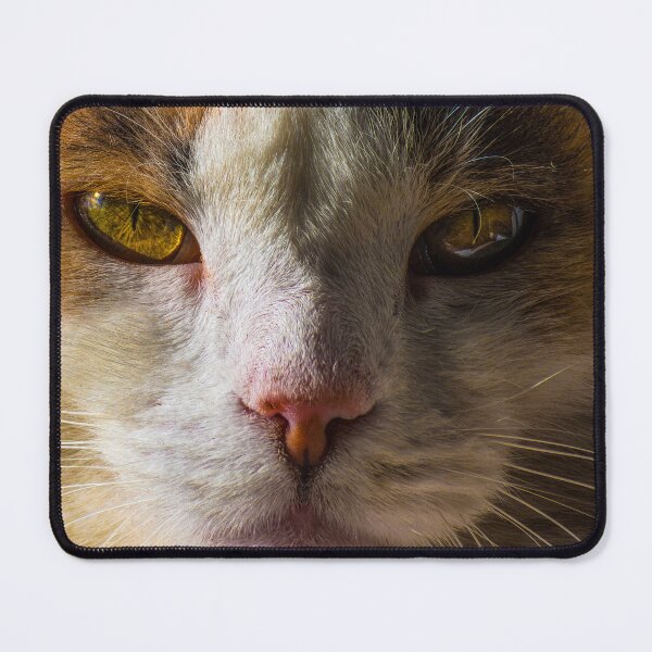 Item preview, Beautiful Cat designed and sold by MoePhotography.