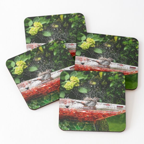 Item preview, Colourful bird splashing designed and sold by Astute-Artio-Photography.