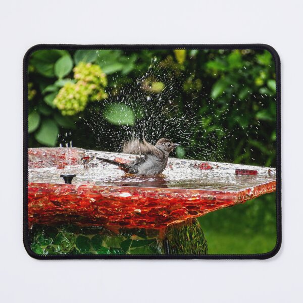 Item preview, Colourful bird splashing designed and sold by Astute-Artio-Photography.