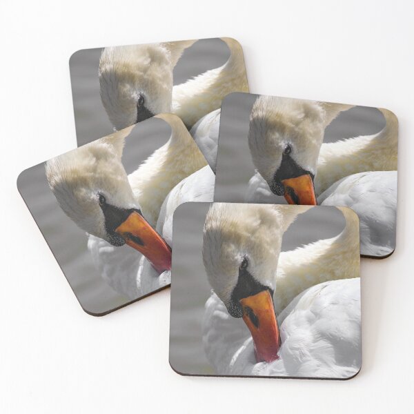 Item preview, Preening Swan designed and sold by MoePhotography.