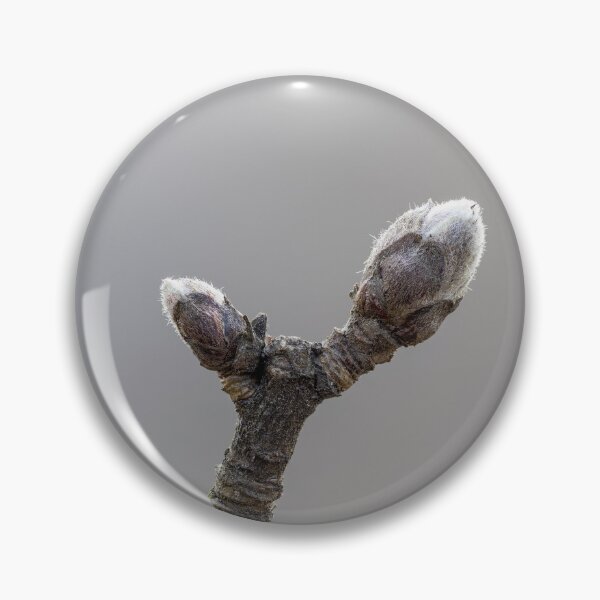 Item preview, Close up of two apple tree buds on a twig during early spring season with blurred background designed and sold by 3 Hours of Silence.