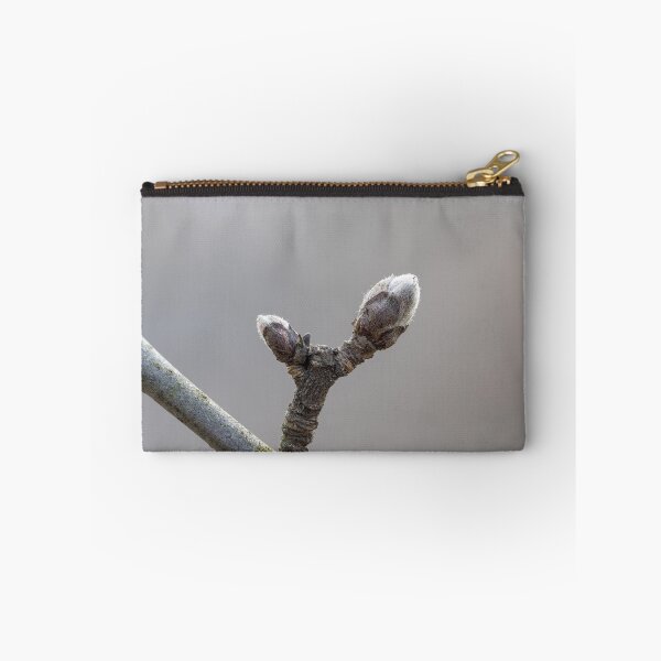 Item preview, Close up of two apple tree buds on a twig during early spring season with blurred background designed and sold by 3 Hours of Silence.