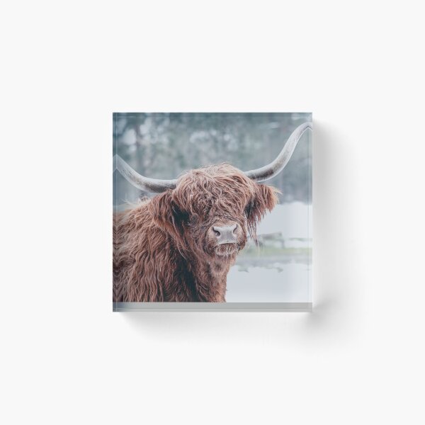 Item preview, A Highland Hello designed and sold by The Art Framing Company.