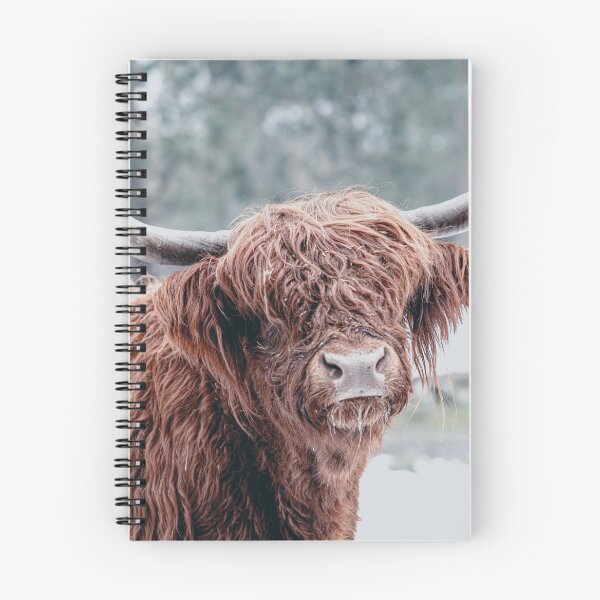Item preview, A Highland Hello designed and sold by The Art Framing Company.